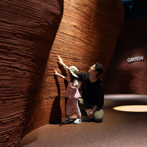  [2월] 동탄 네이처스케이프 플러스 입장권