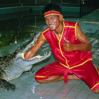 파타야 악어 농장 & 케이브 비치 클럽 반일 단독 투어