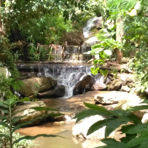 [치앙마이] 도이수텝 트레킹 투어