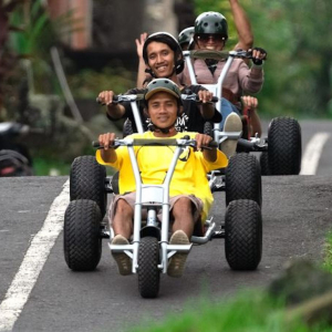 발리 정글 카트 & 크레트야 우붓 투어