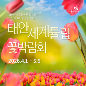  [태안] 2026 태안세계튤립꽃박람회