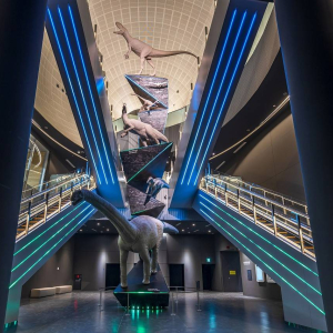 후쿠이 현립 공룡 박물관(상설전)