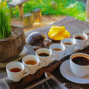 (한국어가이드) 발리 바투르산 일출 지프 + 플로팅 템플 + 커피 농장 단독 투어