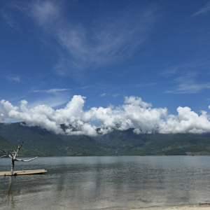 [다낭]내맘대로선택 전용차량