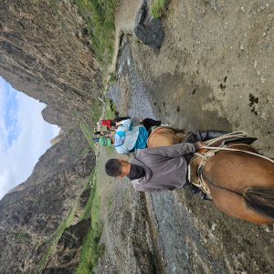 [몽골]4박5일 고비사막 투어