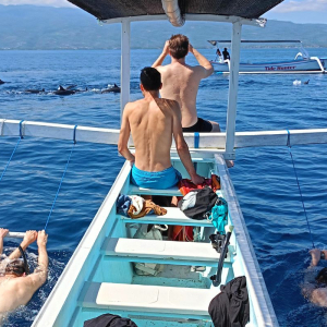 발리 로비나 돌핀 워칭 & 수영