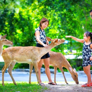 (한국어가이드) 파타야 시티 체크아웃 단독 투어 & 공항 샌딩