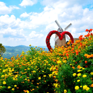 [단독투어] 세부 탑스(정상) 인스타그램 시티투어 - 시라오가든, 탑스힐, 레아신전