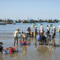 단독투어 무이네출발 무이네 지프차 투어 일출 혹은 일몰 택1