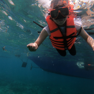 보라카이 레인보우 호핑투어 블랙