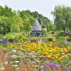 [훗카이도]홋카이도 조이 패스