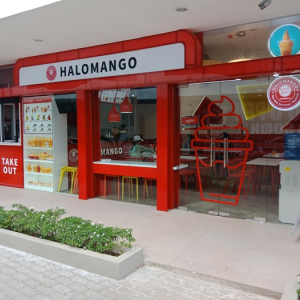 [보홀] 프라이빗 파밀라칸 호핑투어(돌고래와칭 + 거북이포인트 + 산호포인트 + 고프로촬영)