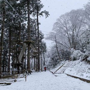 [가나가와] 포레스트 어드벤처 하코네 어드벤처 코스