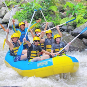 발리 스윙 + 래프팅 데이 투어
