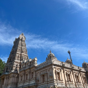 쿠알라룸푸르 프리미엄 시티 & 반딧불 & 블루티어스 단독 투어