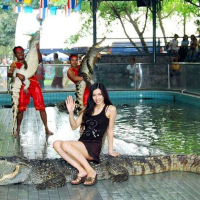 파타야 악어 농장 & 케이브 비치 클럽 반일 단독 투어