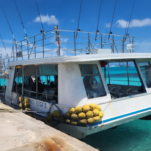 [사이판] 호핑 & 낚시 투어 모음 (오전/오후)