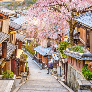 [한국어가이드] 교토 핵심 명소 일일 버스 투어
