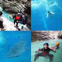 [패스트트랙] 오슬롭 고래상어 캐녀닝  모알보알 호핑 (조인단독 공항픽업무료)