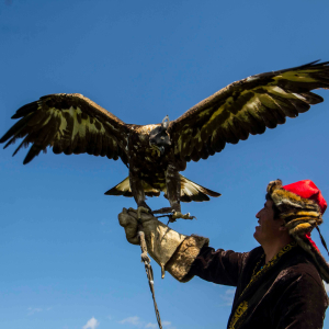 [몽골]1박2일 테를지투어