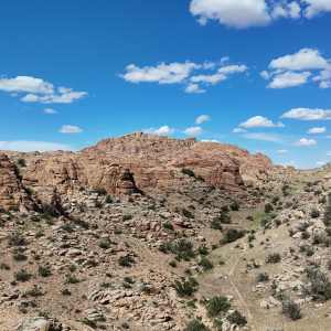 [몽골]남부투어(차강소브락-바가가쯔링촐로) 2박3일