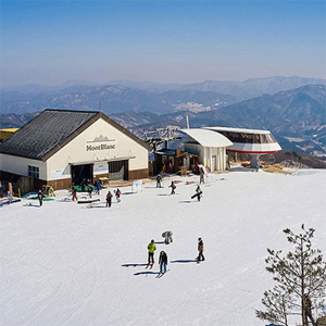 25/26 평창 휘닉스파크 스키학교 강습권