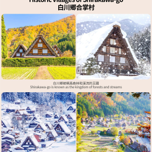 [한국어가이드] 시라카와고 & 다카야마 일일 버스 투어