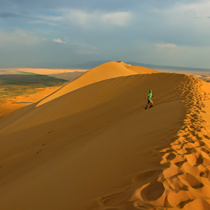 [몽골]6박7일 고비사막 투어