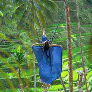 발리 정글 카트 & 크레트야 우붓 투어