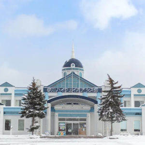 [북해도] 삿포로 출발 북해도 비에이 후라노 1일 버스투어