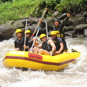 옐로 가든 아융강 래프팅 & 우붓 VW 투어