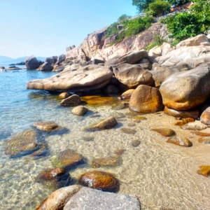 (한국어가이드) 나트랑 시티 체크아웃 단독 투어