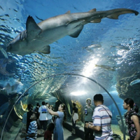 [방콕]  씨 라이프 방콕 & 마담 투소