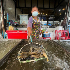 (한국어가이드) 아유타야 실속 단독 투어