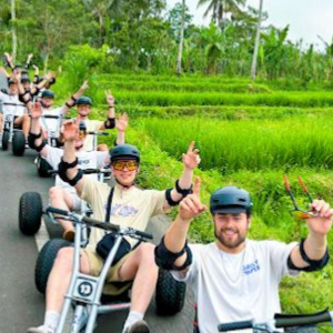 발리 정글 카트 & 크레트야 우붓 투어