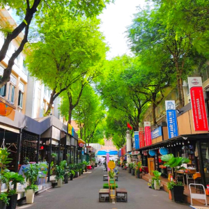 (한국어가이드) 호치민 시티 체크아웃 단독 투어 & 공항 샌딩