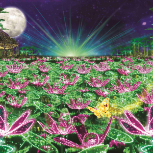 [오키나와]오키나와 동남식물낙원 1DAY 패스 (주간+야간)