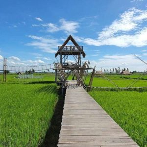 아유타야 반일 단독 투어 / 방콕 출발