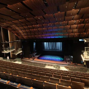 [나트랑] 베가시티쇼 (인터랙티브 3D 인형극)