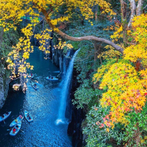 [한국어가이드] 후쿠오카 출발: 구마모토 & 미야자키 일일 버스 투어