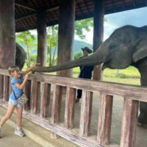 [루앙프라방] 꽝시폭포 깊쑤키 (feat.깨오폭포,라이스팜카페) +기차역 샌딩