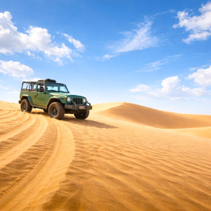 (한국어가이드) 판랑 사막 지프 차량 + 양 농장 단독 투어 / 나트랑 출발