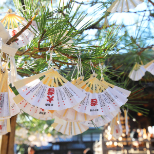 (한국어/영어) 아마노하시다테 & 이네후나야 & 미야마 가부키노사토 버스 투어 