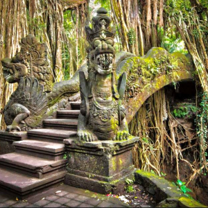 (한국어가이드) 발리 우붓 단독 투어 & 공항 샌딩