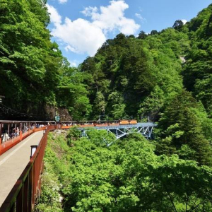  [도야마] 구로베협곡 토롯코열차 승차권  (우나즈키~네코마타)