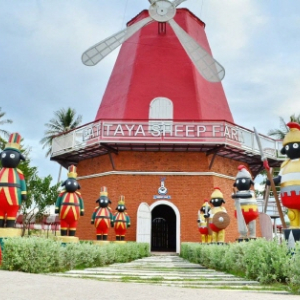 [파타야] 패밀리 파크 파타야 양목장