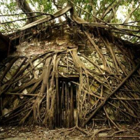 대만 타이난 버스 투어