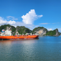 [하롱베이] 파라다이스 엘레강스  1박2일 크루즈 #픽업샌딩 #투어형