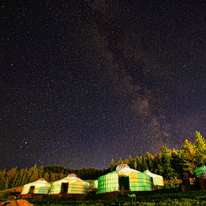 (한국어가이드) 몽골 테를지 국립공원 단독 투어