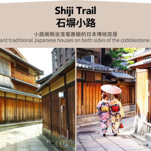 [한국어가이드] 교토 & 나라 일일 버스 투어 